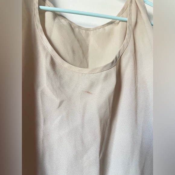 Elegant Beige Sheer Top ( read description ) - Picture 3 of 5